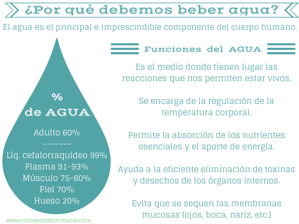 Los medios contra el moho y el hongo en de baño